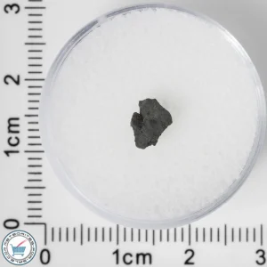 NWA 8534 CM1/2 Meteorite 0.08g