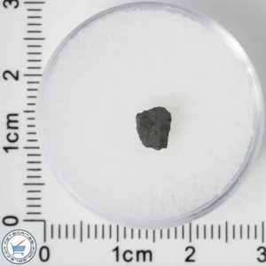 NWA 8534 CM1/2 Meteorite 0.09g