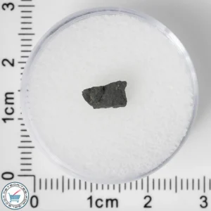 NWA 8534 CM1/2 Meteorite 0.12g
