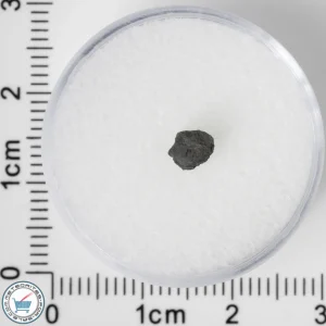 NWA 8534 CM1/2 Meteorite 0.06g
