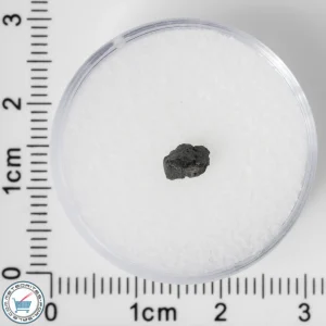 NWA 8534 CM1/2 Meteorite 0.05g