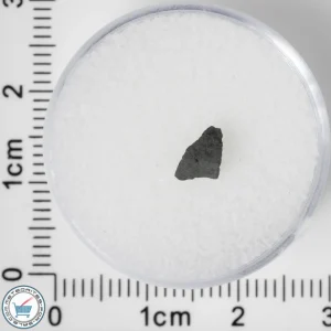NWA 8534 CM1/2 Meteorite 0.06g