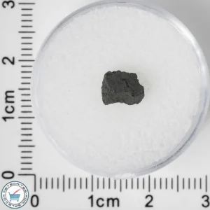 NWA 8534 CM1/2 Meteorite 0.13g
