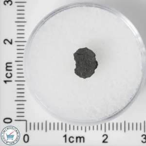 NWA 8534 CM1/2 Meteorite 0.13g