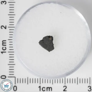 NWA 8534 CM1/2 Meteorite 0.11g
