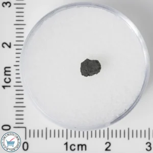 NWA 8534 CM1/2 Meteorite 0.05g