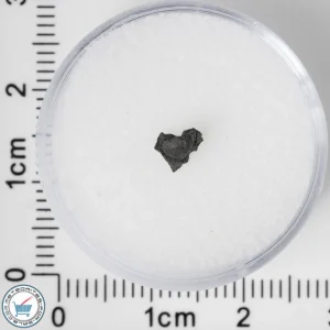 NWA 8534 CM1/2 Meteorite 0.06g