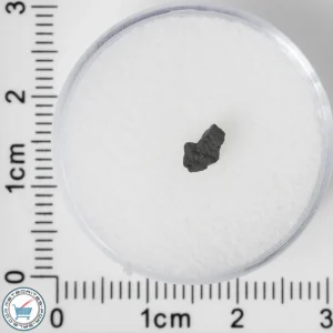 NWA 8534 CM1/2 Meteorite 0.05g
