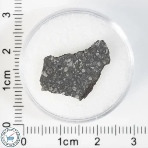 Allende Meteorite 0.92g Slice