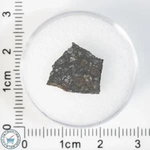 Allende Meteorite 0.71g Slice