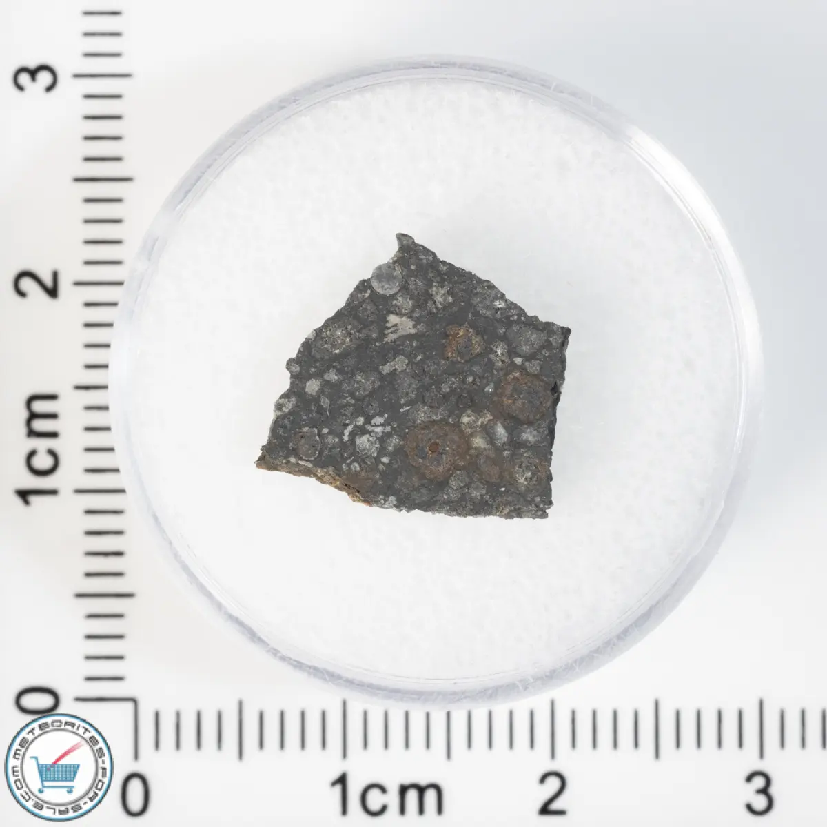 Allende Meteorite 0.71g Slice