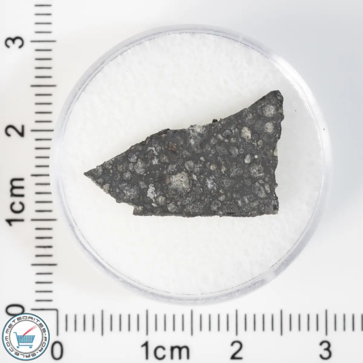 Allende Meteorite 1.0g Slice