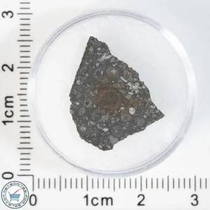 Allende Meteorite 1.06g Slice