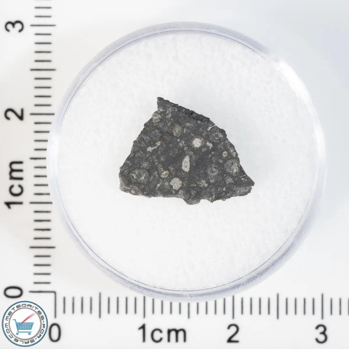 Allende Meteorite 0.56g Slice