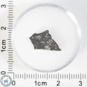 Allende Meteorite 0.39g Slice