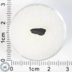 Aguas Zarcas CM2 Meteorite 0.06g