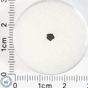 Aguas Zarcas CM2 Meteorite 0.02g