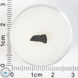 Aguas Zarcas CM2 Meteorite 0.08g