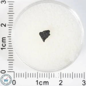 Aguas Zarcas CM2 Meteorite 0.02g