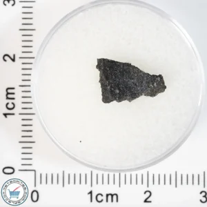 Aguas Zarcas CM2 Meteorite 0.3g