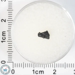 Aguas Zarcas CM2 Meteorite 0.03g