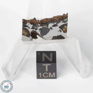 Brahin Pallasite Meteorite 3.5g Slice