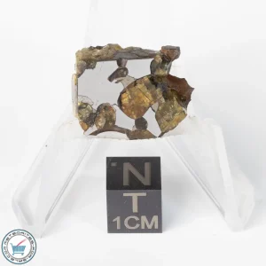 Brahin Pallasite Meteorite 8.9g Slice