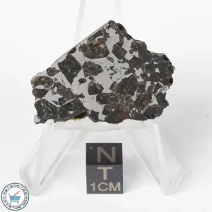 Brahin Pallasite Meteorite 8.6g Slice