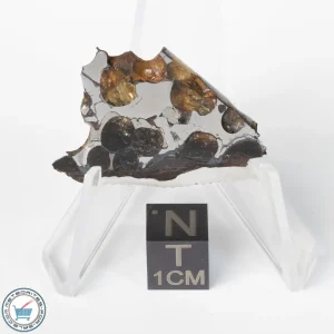 Brahin Pallasite Meteorite 7.7g Slice