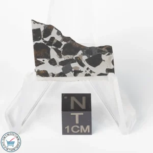 Brahin Pallasite Meteorite 6.1g Slice