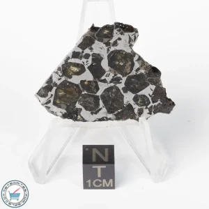 Brahin Pallasite Meteorite 12.5g Slice