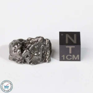 Campo del Cielo Meteorite Crystal 11.2g
