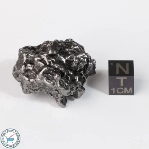 Campo del Cielo Meteorite Crystal 52.2g