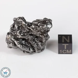 Campo del Cielo Meteorite Crystal 52.1g