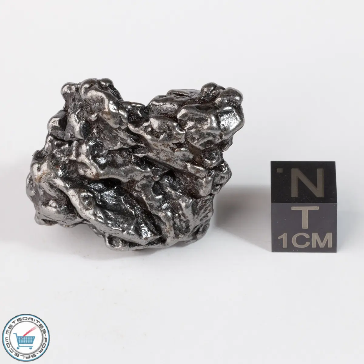 Campo del Cielo Meteorite Crystal 52.1g