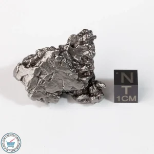 Campo del Cielo Meteorite Crystal 55.3g