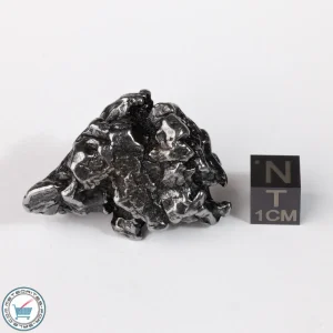Campo del Cielo Meteorite Crystal 51.7g