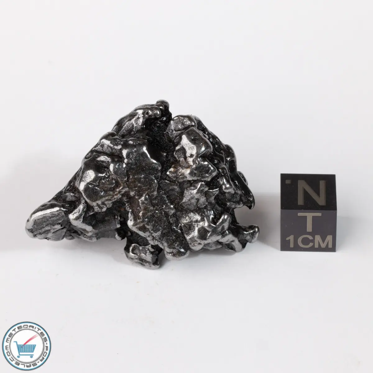 Campo del Cielo Meteorite Crystal 51.7g