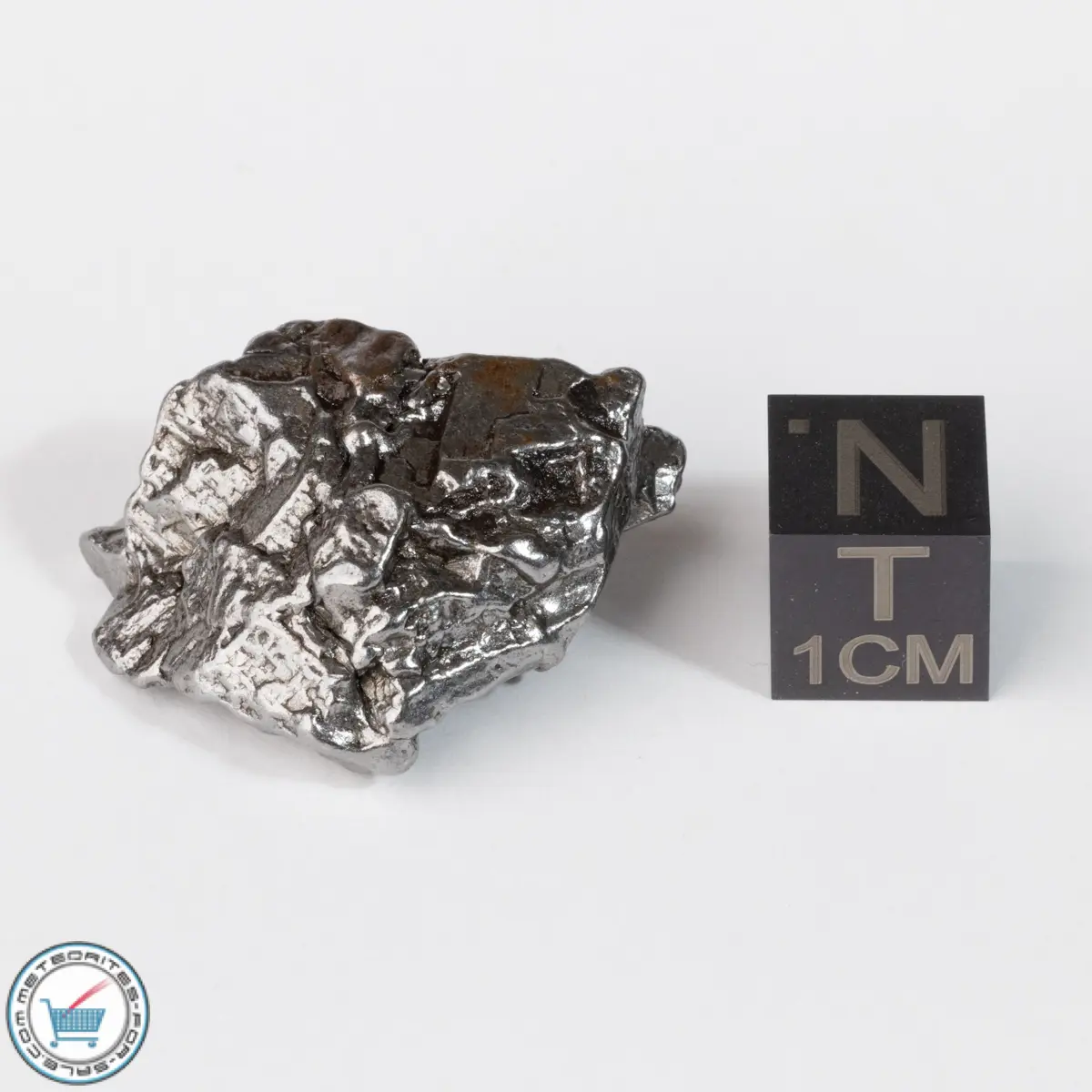 Campo del Cielo Meteorite Crystal 21.8g