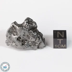 Campo del Cielo Meteorite Crystal 28.2g