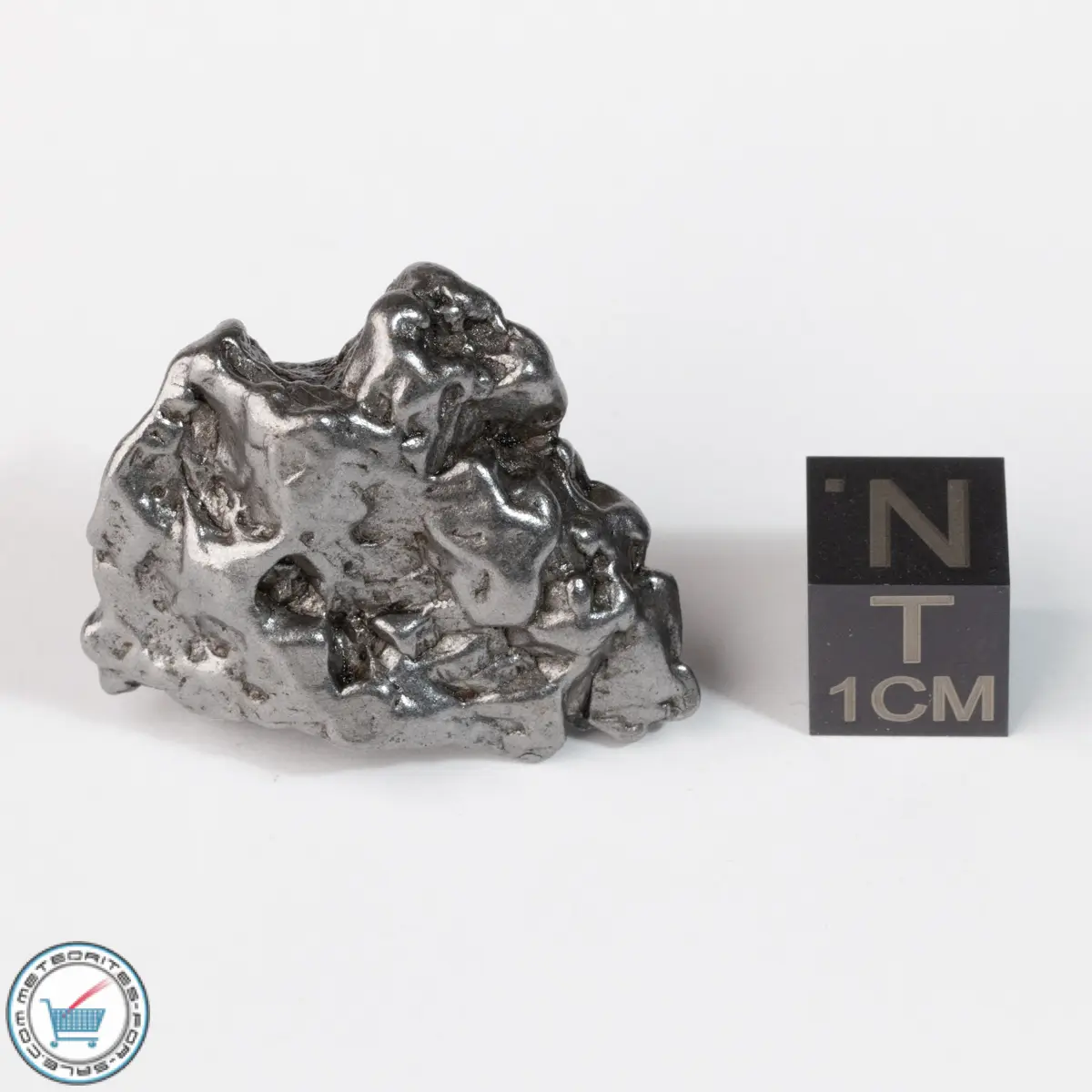 Campo del Cielo Meteorite Crystal 28.2g