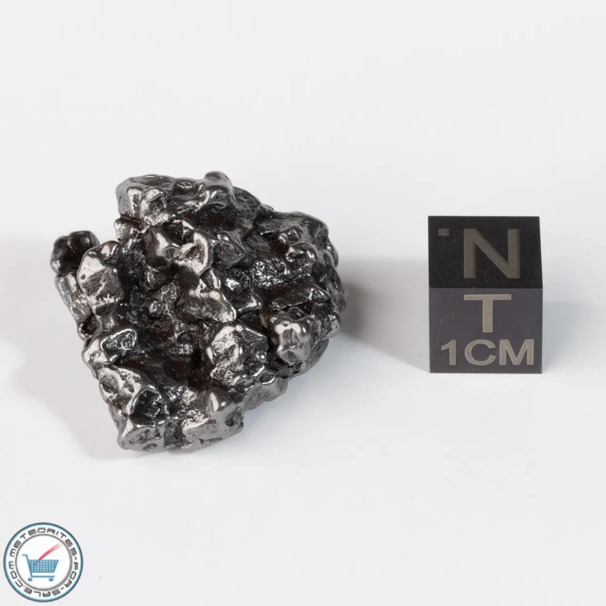 Campo del Cielo Meteorite Crystal 30.9g