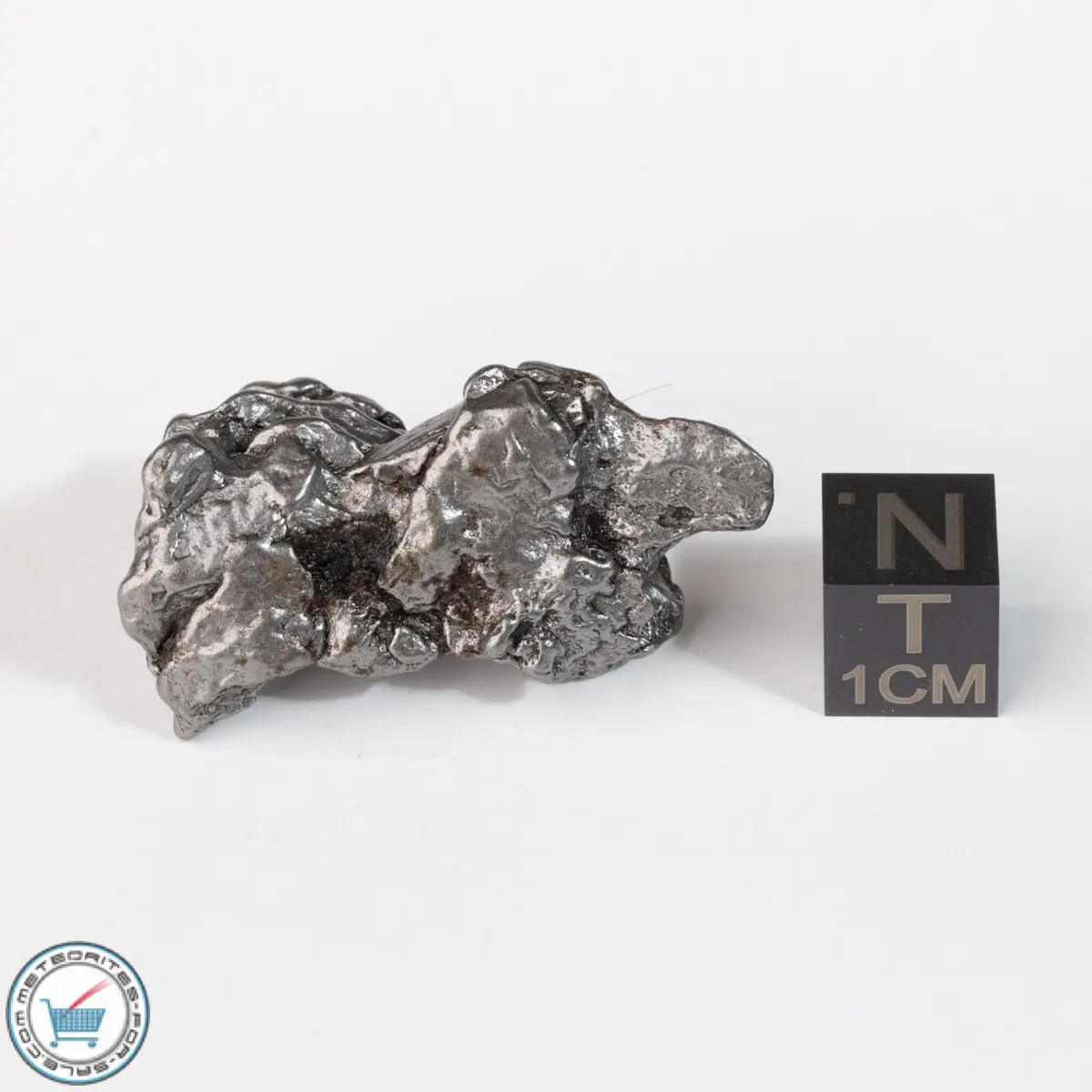 Campo del Cielo Meteorite Crystal 26.4g