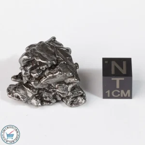 Campo del Cielo Meteorite Crystal 26.0g