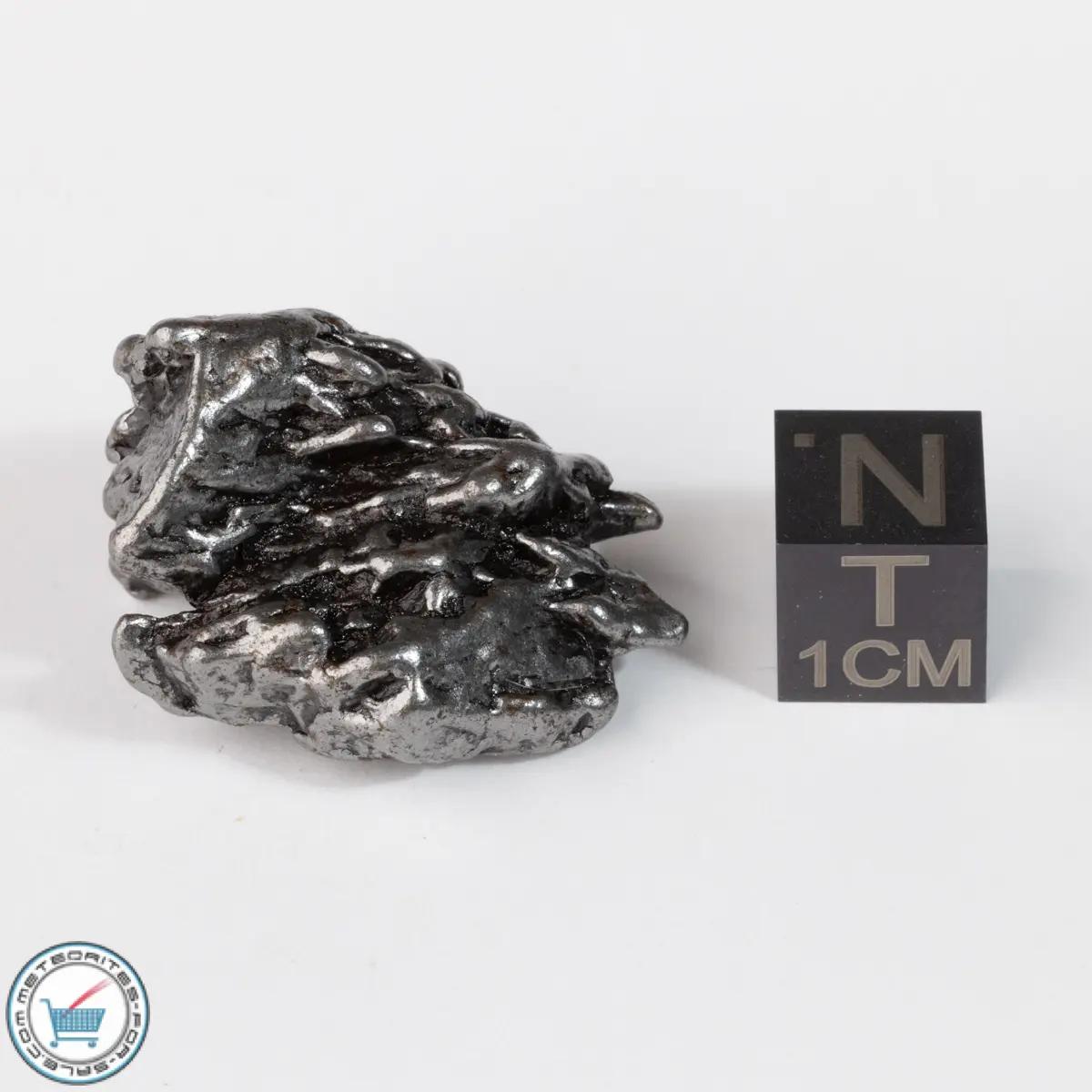 Campo del Cielo Meteorite Crystal 27.3g