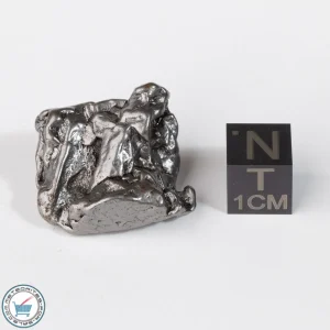 Campo del Cielo Meteorite Crystal 22.3g