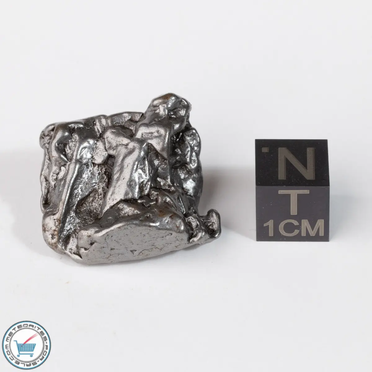 Campo del Cielo Meteorite Crystal 22.3g