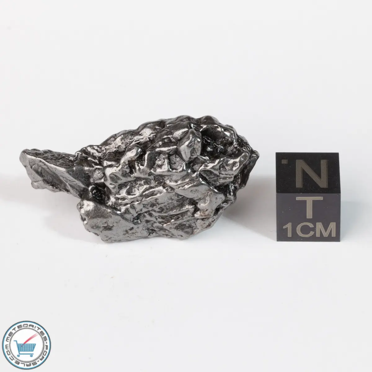 Campo del Cielo Meteorite Crystal 21.6g