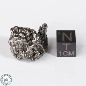 Campo del Cielo Meteorite Crystal 18.7g