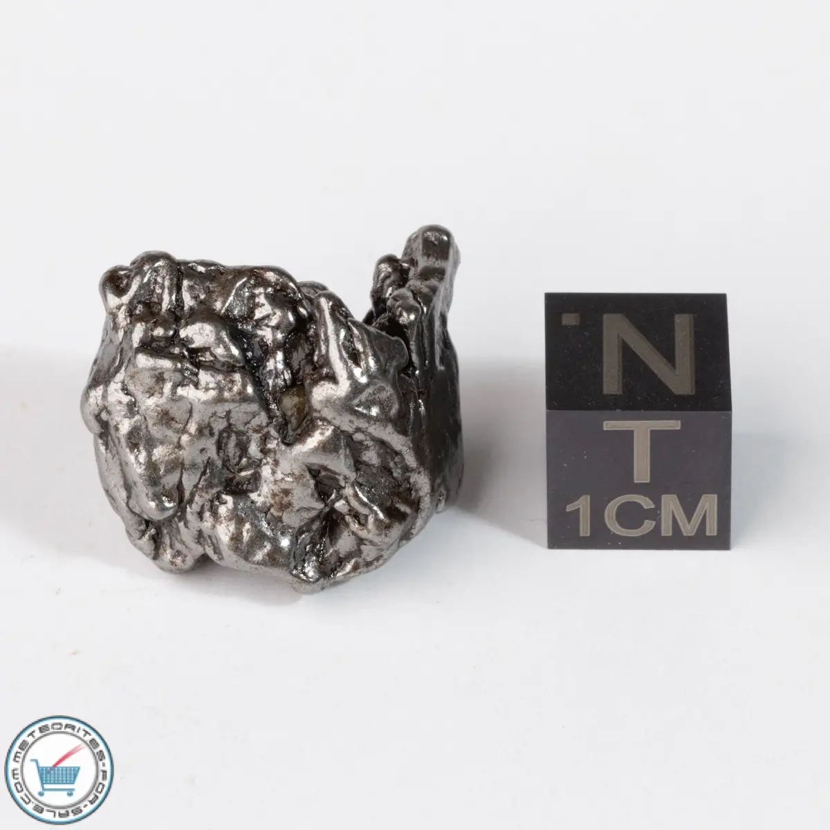 Campo del Cielo Meteorite Crystal 18.7g